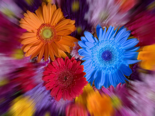 419561 (a): :1600x1200